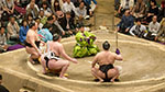 Grand Sumo