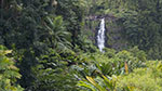 Akaka Falls and<br>Tropical Botanical Garden